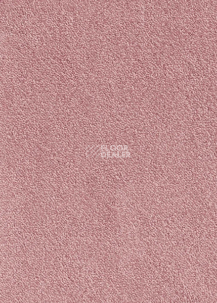 Ковролин AW Masquerade Messalina 60 фото 1 | FLOORDEALER